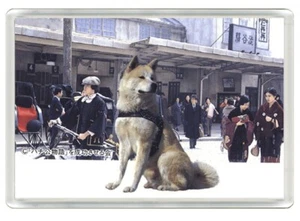 AKITA BEAUTIFUL DOG ART PRINT NOVELTY FRIDGE MAGNET GREAT GIFT - Picture 1 of 1