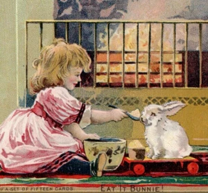 1890s Girl Feeds Bunny by Fire McLaughlins XXXX Coffee Donaldson Bros Trade Card - Picture 1 of 3