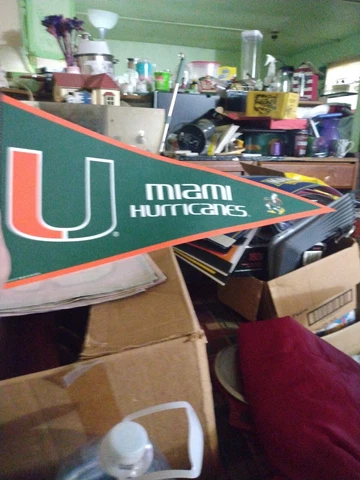 Miami Hurricanes NCAA Green & Orange Logo Pennant by WinCraft Made in the USA Cover