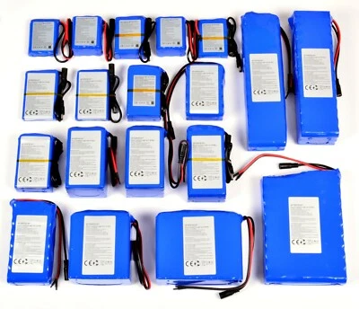 PACCO BATTERIA PILA 12V 24V RICARICABILE ALTA QUALITA' AL LITIO + CARICABATTERIA