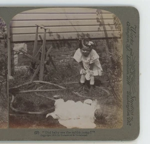 Did Baby See the Rabbit Jump Children Underwood Stereoview - Picture 1 of 2