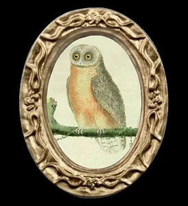 Imagen miniatura retrato de un pájaro búho casa de muñecas - Imagen 1 de 1