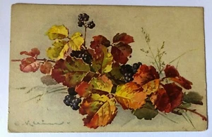Cartolina d'epoca - KLEIN - postcard - cpa - Postkarte - Fiori/frutta - Picture 1 of 2
