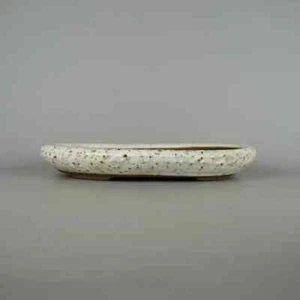 Japanese Tokoname Bonsai Pot SHIBAKATSU Oval Glazed White w12.6in(32cm) Japan - Picture 1 of 6