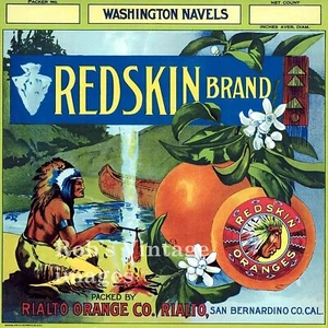 San Bernardino Ca Redskin Orange Citrus Fruit Crate Label Vintage Art Print - Picture 1 of 1