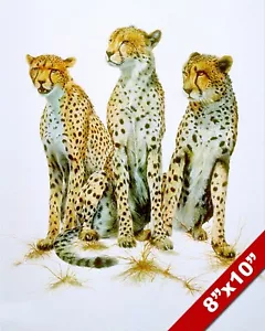 TRES GUEPARDOS GRANDES GATOS AFRICANOS SALVAJES PINTURA ANIMAL ÁFRICA ARTE IMPRESIÓN DE LIENZO REAL - Imagen 1 de 5