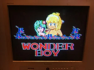 Wonder Boy Sega Master System - Imagen 1 de 11