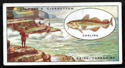 FAULKNER - ANGLING - #11 FILEY BRIGG, YORKSHIRE - Image 1 of 2