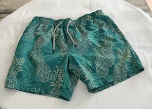 REYN SPOONER Swim Trunks Pineapple Size Small/ 7 Inseam - Picture 1 of 2