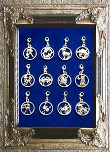 CHARM ANHÄNGER STERNZEICHEN TIERKREIS 925er SILBER Karabiner für ARMBAND + KETTE - Bild 1 von 14