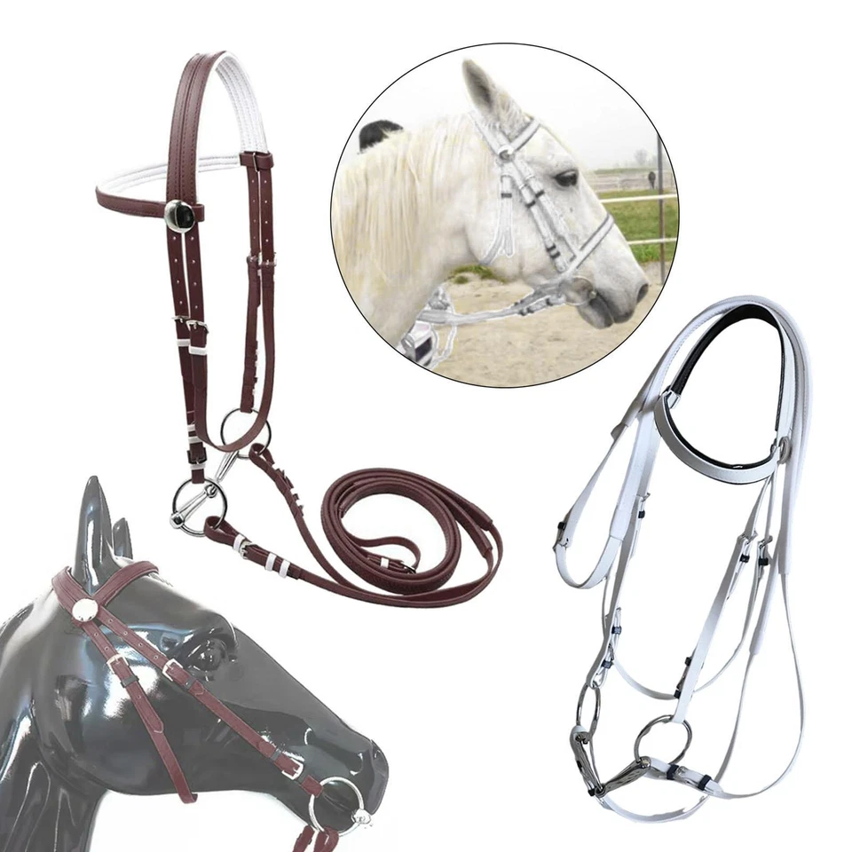 Pferdezaumzeug mit Zügel Kopfstück Verstellbares Reitsportzubehör Halfter - Bild 1 von 1