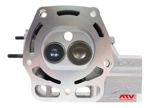 New Genuine Kawasaki Mule 3010 3000 4010 400 Cylinder Head Valves Rear - Bild 1 von 6