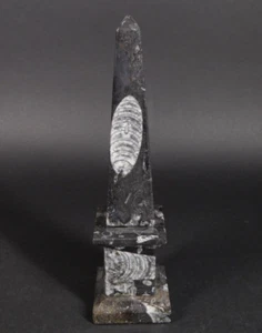 Vintage Modernist Carved Black Fossil Marble Obelisk 9.25" H Orthoceras? - Picture 1 of 5