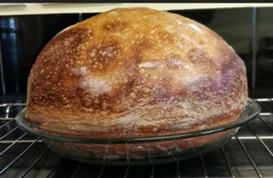 ALASKAN SOURDOUGH STARTER yeast for making big bread dried yeast ALASKAN A - Picture 1 of 12
