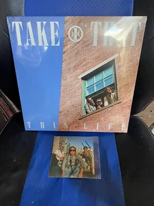 LIMITED EDITION TAKE THAT THIS LIFE CREAM VINYL & HAND SIGNED ART CARD IN HAND - Picture 1 of 7