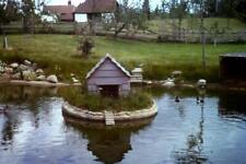 35mm Colour Slide-  Duck pond UK  1975
