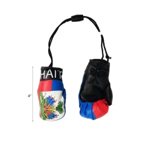 Haiti Auto Rückspiegel Boxhandschuhe Set Haitian Boxhandschuh - Bild 1 von 1