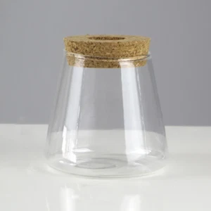 Mini Hydroponic Flower Pot Transparent Glass Vase Home Living Room Office Decor - Picture 1 of 12