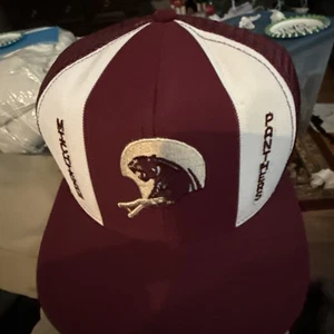 Vintage Lucky Stripes AJD Michigan Panthers USFL Snapback Trucker Hat - Picture 1 of 6