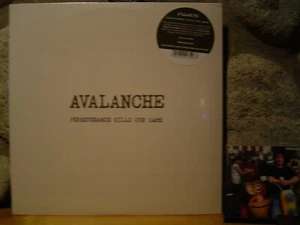 AVALANCHE Perseverance Kills Our Game LP/'79 Netherlands/Prog Folk/Ash Ra Tempel - Picture 1 of 2