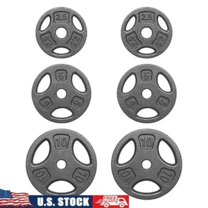 35lbs Cast Iron Weight Plate Set Standard Plates Strength Training Fitness Black - Picture 1 of 7
