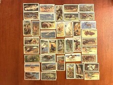 Brook Bond PG Tips Cards Wildlife In Danger