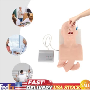Allenatore Gestione Vie Aeree Studio Adulto Intubazione Orale Manichino Modello Didattico NUOVO - Foto 1 di 19