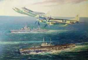 Seehornissen über HMS Implacable, großes 90x50cm Banner - Bild 1 von 1