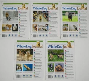 WHOLE DOG JOURNAL LOT OF 5 2022 & 2023 GUIDE TO NATURAL DOG CARE & TRAINING - Imagen 1 de 1
