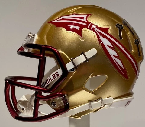 FLORIDA STATE SEMINOLES 2022 RIDDELL CUSTOM MINI FOOTBALL HELMET Cover