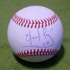 EDDIE PEREZ - Signed/Autographed - BASEBALL BALL - Atlanta Braves w/COA