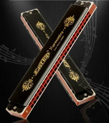 EASTTOP T2406K 24 Holes Tremolo Harmonica Key of C Tremolo Mouth Organ Harmonica