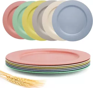 10 Inch Wheat Straw Dinner Plates, 6 Pack Unbreakable Sturdy Plastic Reusable - Afbeelding 1 van 9
