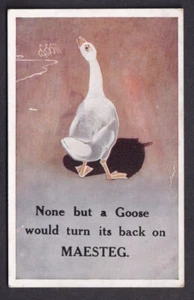 Glamorgan Neath Port Talbot MAESTG non but a goose used 1917 Postkarte - Bild 1 von 2