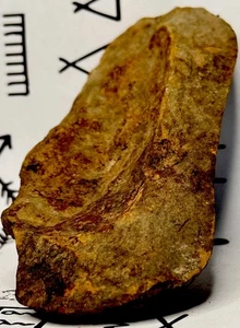 Native American Indian Authentic Artifact Stone/Tool, 7.9 oz • NY( Iroquois ) - Picture 1 of 24