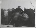 Surrender Of German Uboats At Harwich 1918 Old Photo