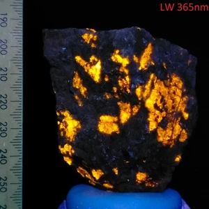 Wernerite Scapolite fluorescent long wave natural mineral Grenville Canada 776ct - Bild 1 von 8