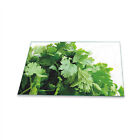 Herdabdeckplatte Ceran 1 Teilig 80x52 Pflanzen Grün Abdeckung Glas Spritzschutz