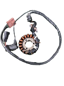 Magnet Stator Benelli Adiva 250 Baujahr 2006 2007 2008 - Bild 1 von 4