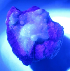 GEM BLUE HYALITE OPAL VERY RARE UNIQUE NATURAL UV REACTIVE CRYSTAL GEODE NODULE - Picture 1 of 9