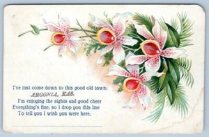 1909 GREETINGS FROM ARGONIA KANSAS*PRINTED IN GERMANY*SENT TO ENID OKLAHOMA - Picture 1 of 2