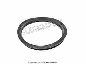 Porsche Cayenne '03-'13 Sealing Ring for Fuel Pump and Filter GENUINE +WARRANTY