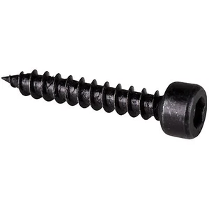 M5 x 30mm Cap Head Wood Screws Black 100 Pcs. - Picture 1 of 3