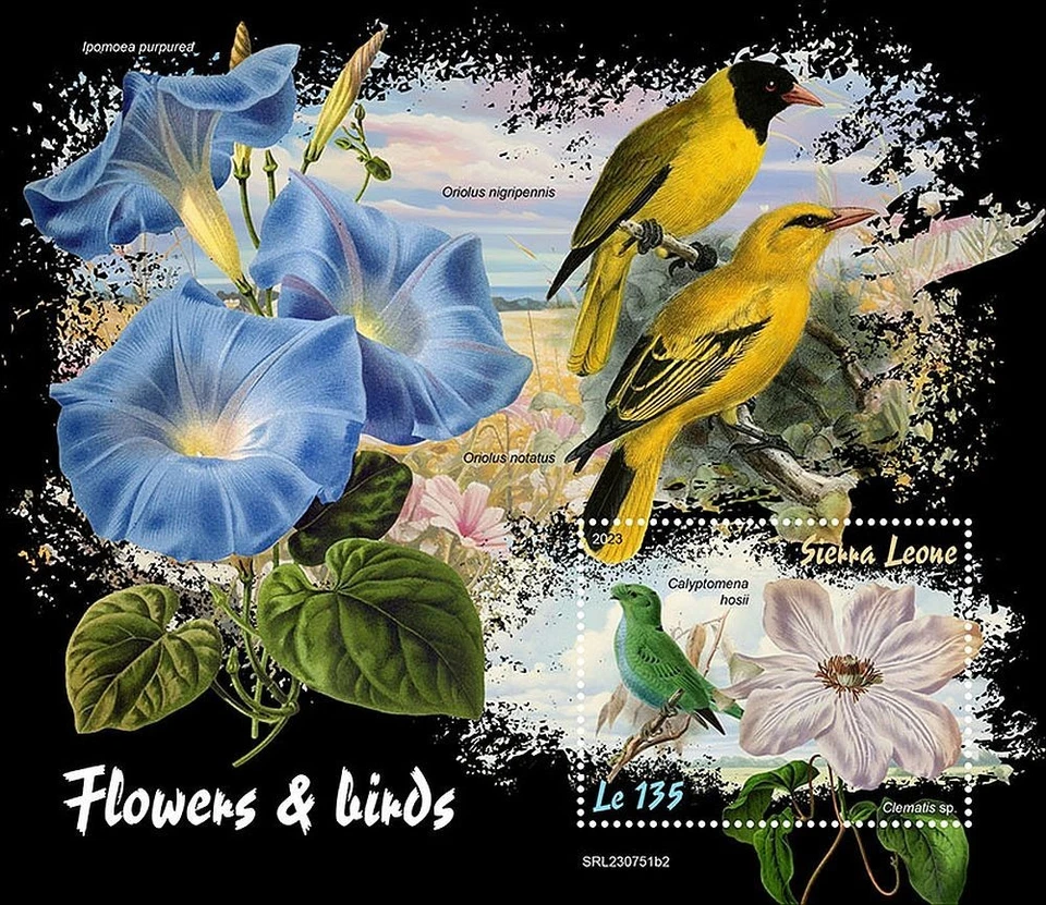 FLOWERS & BIRDS Bird MNH 1v-Stamp Sheet #2301 (2023 Sierra Leone) - Image 1 of 1