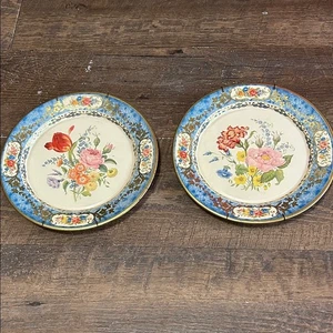 Par de platos de hojalata Then Decorated Ware, hechos en Holanda, azul crema floral - Imagen 1 de 8