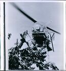 1972 hélicoptère Byrd-Hudnall verger souffler l'eau des cerises photo historique 8X8
