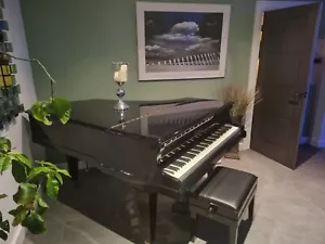 Black Grand Piano Digital Conversion - Picture 1 of 2
