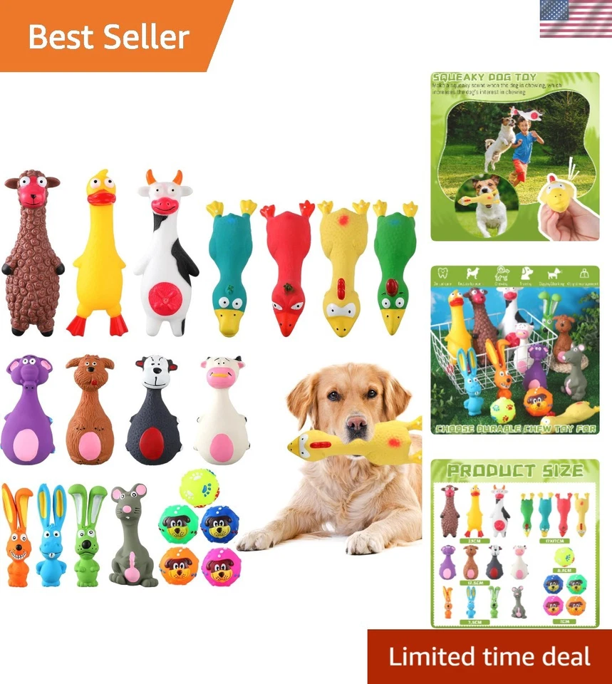 Fun Squeak Chew Balls for Dogs - 20-Piece Latex Rubber Set - Image 1 of 4