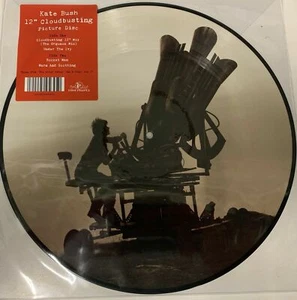 KATE BUSH CLOUDBURSTING 12" PICTURE DISC LIMITED EDITION HMV SEALED - Foto 1 di 1