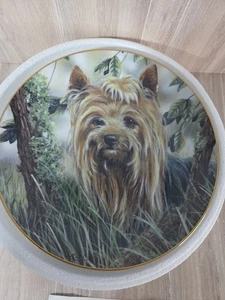 Danbury Mint INTO THE WOODS Plate Yorkshire Terriers Paul Doyle Terrier Trees  - Picture 1 of 4